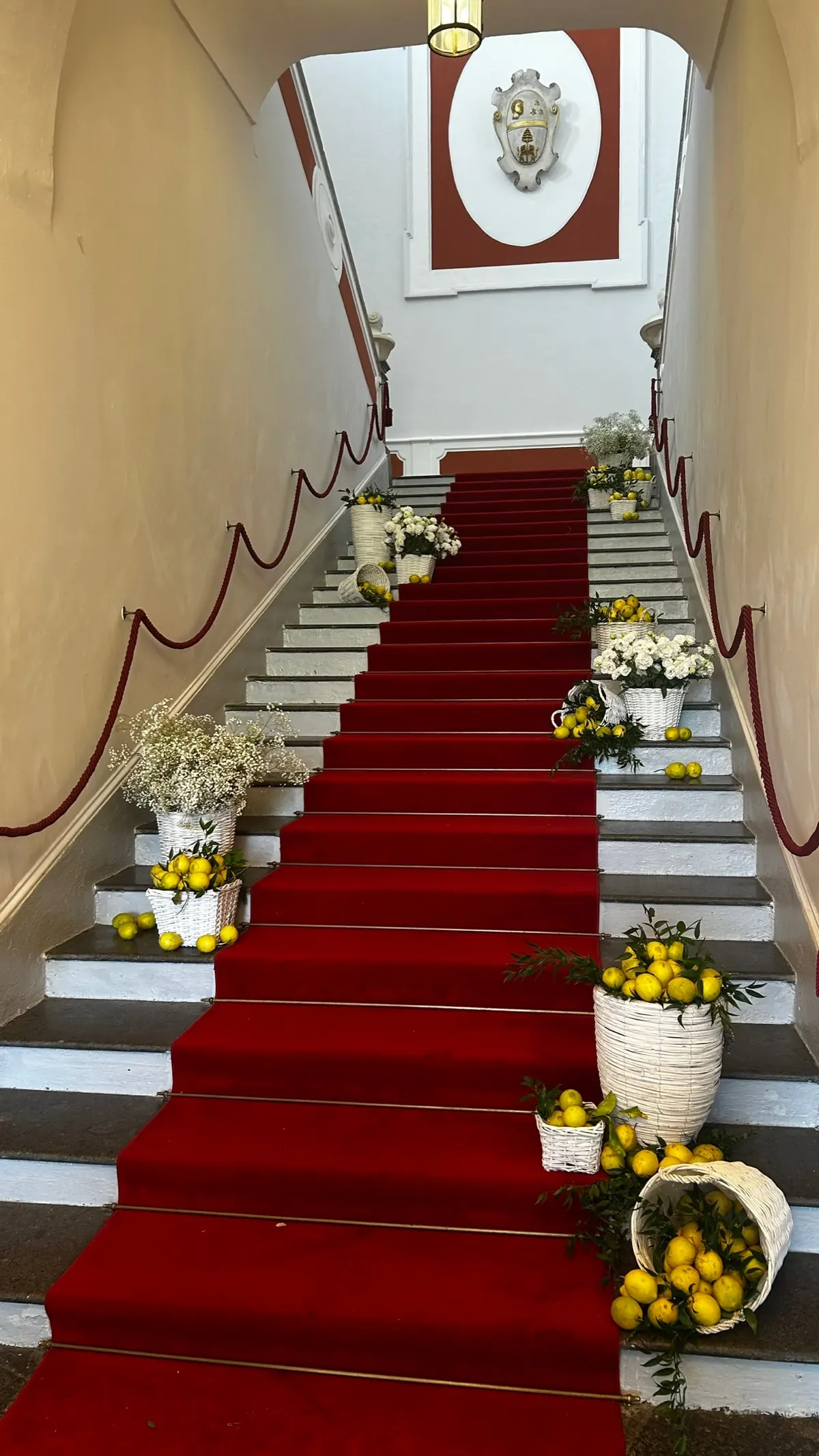 Scalone d'onore con passatoia rossa allestito con limoni e fiori bianchi sui gradini